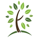 Somerville-Cambridge Elder Services  Incorporated