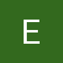 Electronic Links International Inc