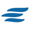 Elemental Cyber Security, Inc. logo