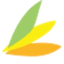 Element Care logo