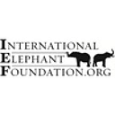 INTERNATIONAL ELEPHANT FOUNDATION logo