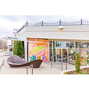 Elevate: Pet Boutique