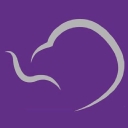 Elite Ultrasound logo