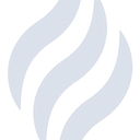 Elite Gasfield Services Llc. logo