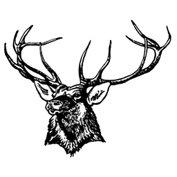 Elk City Es logo