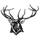 Elk City Public Schools logo