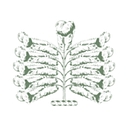 Ellenborough Park Cheltenham Spa logo