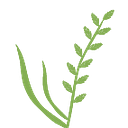 The T. R. Ellett Agricultural Research Trust logo