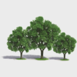 Elmwood Residential Home Ltd logo