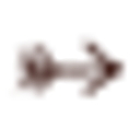 Waikanae Christian Holiday Park Incorporated logo