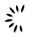 Elumina logo
