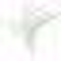 EC