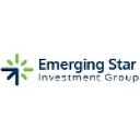 Emerging Star Investment Group (Esig) logo