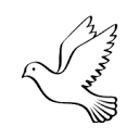 EMILY VICTORIA SOLEK MEMORIAL SCHOLARSHIP FUND logo