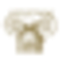 Emmanuel Insurance logo