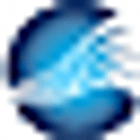 National Emphysema Foundation Inc logo