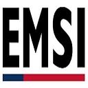 Emergency Management Services International, Inc. logo