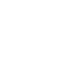 Costume National logo