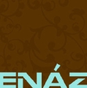 Enaz, Ltd. logo