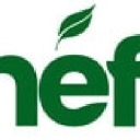 enef.fr logo