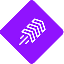 EnforcedFlow logo