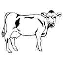 Engel Farms logo