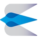 Engiven logo