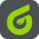 Engv logo