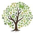 Enhanced Health Solutions logo