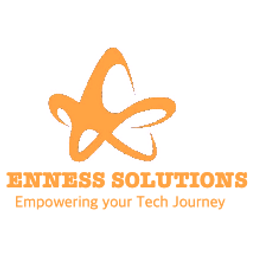 ENNESS SOLUTIONS LLC logo