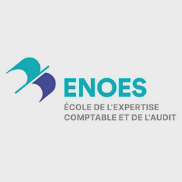 Logo ENOES: l'Ecole de l'Expertise Comptable et de l'Audit