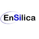 Ensilica Limited logo