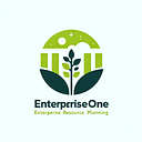 ENTERPRISE ONE ERP LIMITED logo