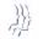 Ear, Nose & Throat Associates Of Manatee, Pa logo