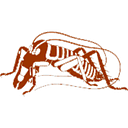 The Auckland Branch of the Entomological Society of New Zealand logo