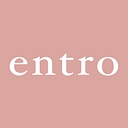 Entro Usa logo