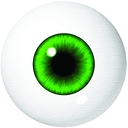Envision Eye Care