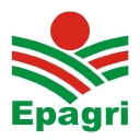 epagri.sc.gov.br icon