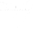 Peerless Technologies logo