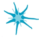Epilepsy Scotland logo