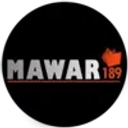 Epilert logo