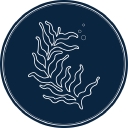 Epphaven Silver logo