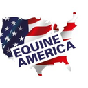 equine-america.co.uk logo