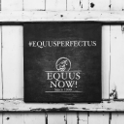 Equus Now! logo