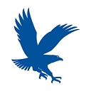 Embry-Riddle Aeronautical University Worldwide