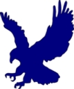 Eagle Ridge Recreation Association logo