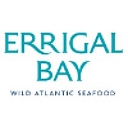 Favicon of Errigal Bay