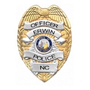 Town of Erwin logo