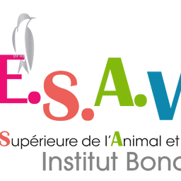 Logo ESAV Institut Bonaparte