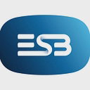 Electricity Supply Board Esb logo